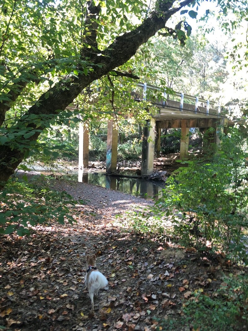 Carroll Park playground photo 2