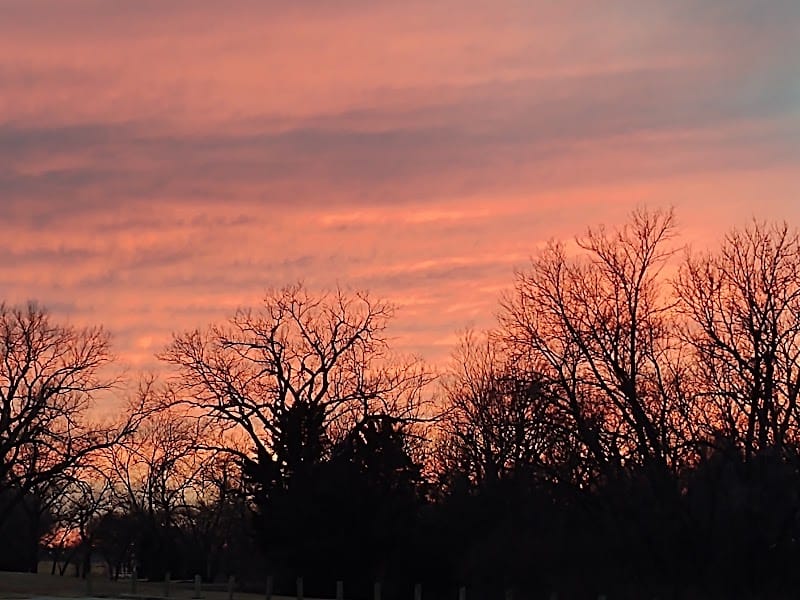 Cessna West Park playground photo 3