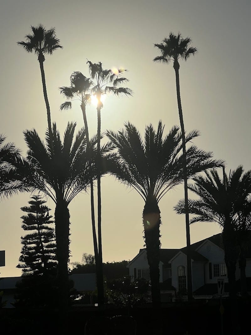 Channel Place Park playground photo 3