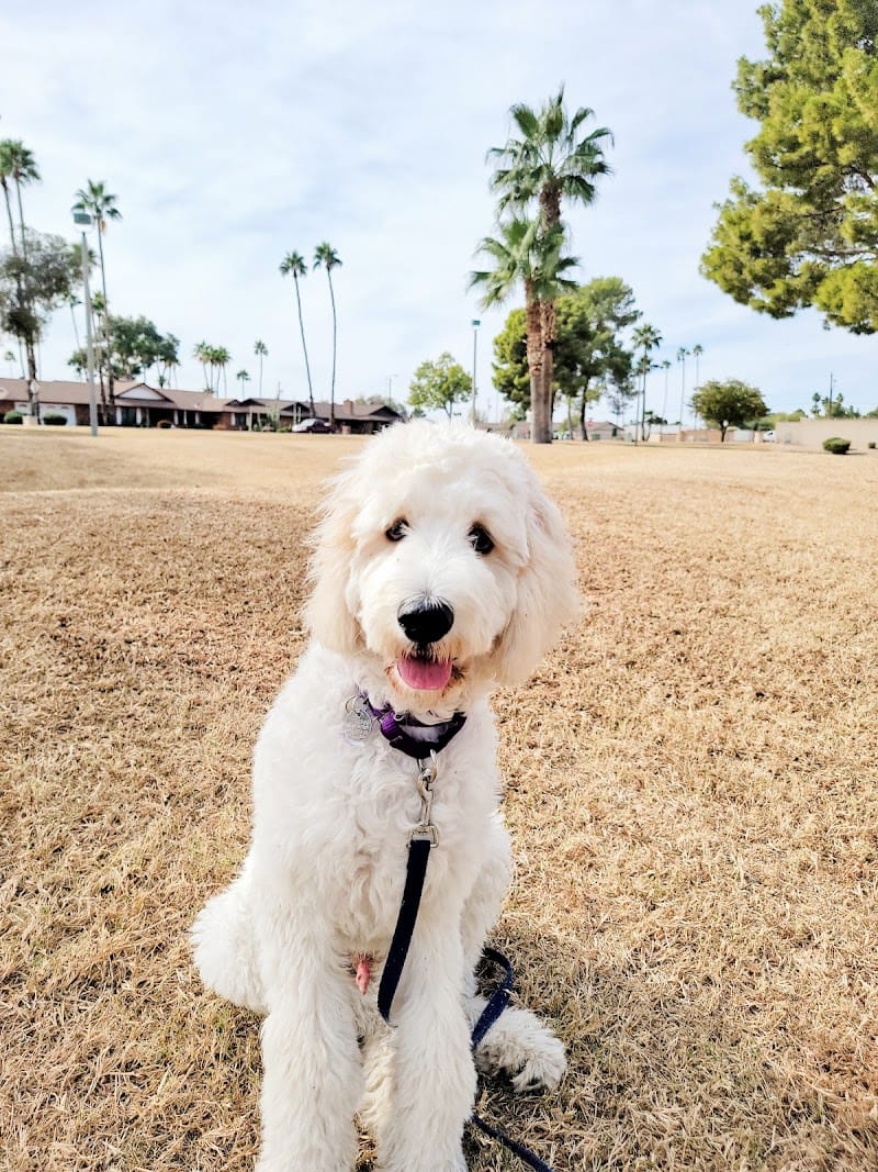 Chaparral Park playground photo 2