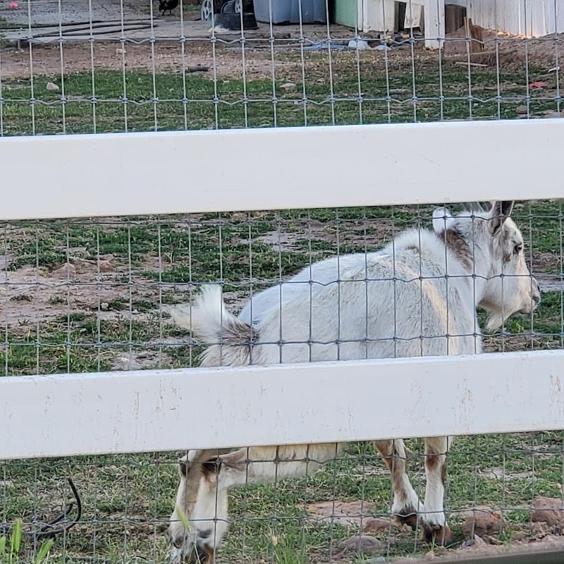 Chaparral Park playground photo 3