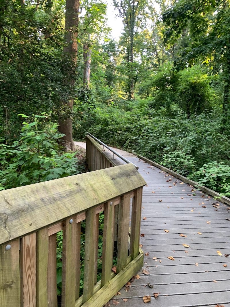 Chessie's Trail playground photo 1