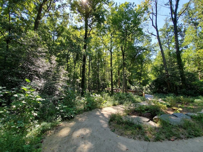 Chessie's Trail playground photo 2