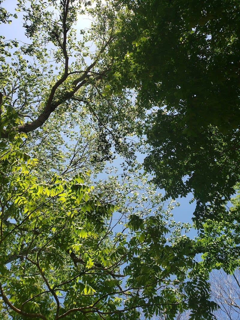 Clay Park playground photo 2