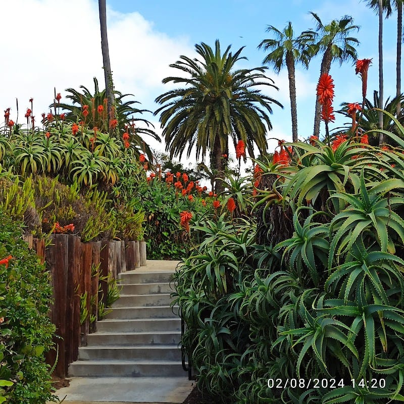 Cliff Drive Park playground photo 3