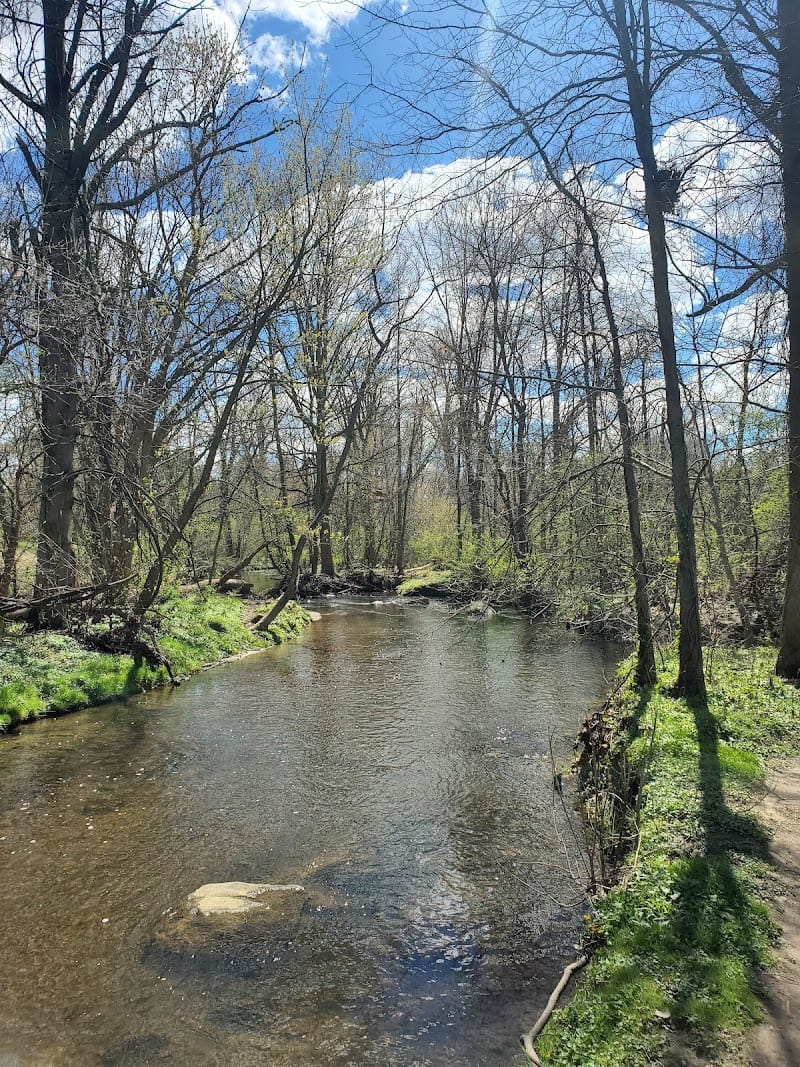 Cobalt Ridge Park playground photo 2