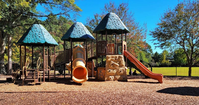 Cogburn Road Park playground photo 1