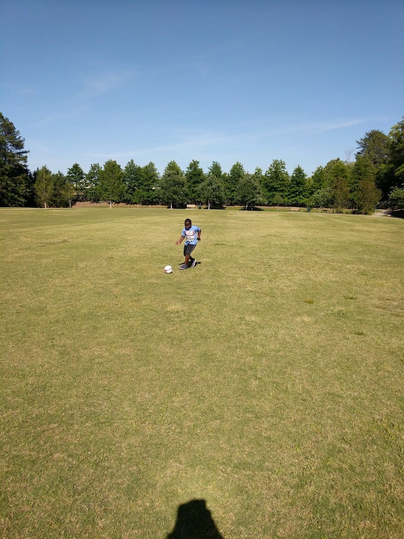 Cogburn Road Park playground photo 3