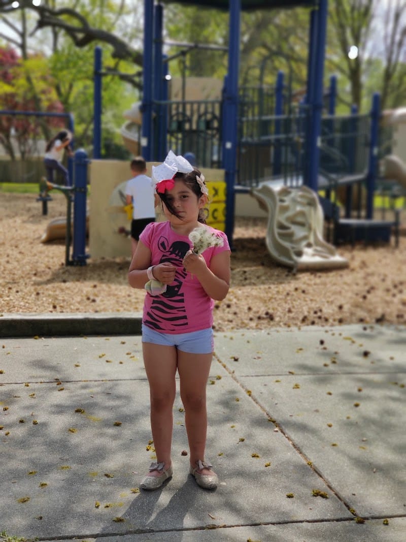 Colonial Oaks Park playground photo 2