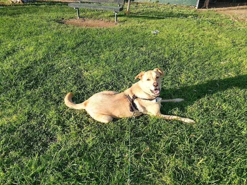 Conner Park playground photo 3