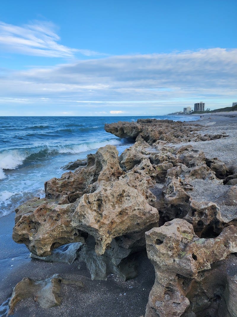 Coral Cove Park playground photo 1