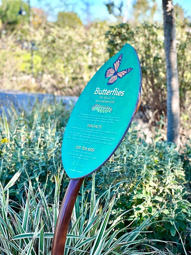 Cordova Park playground photo 2