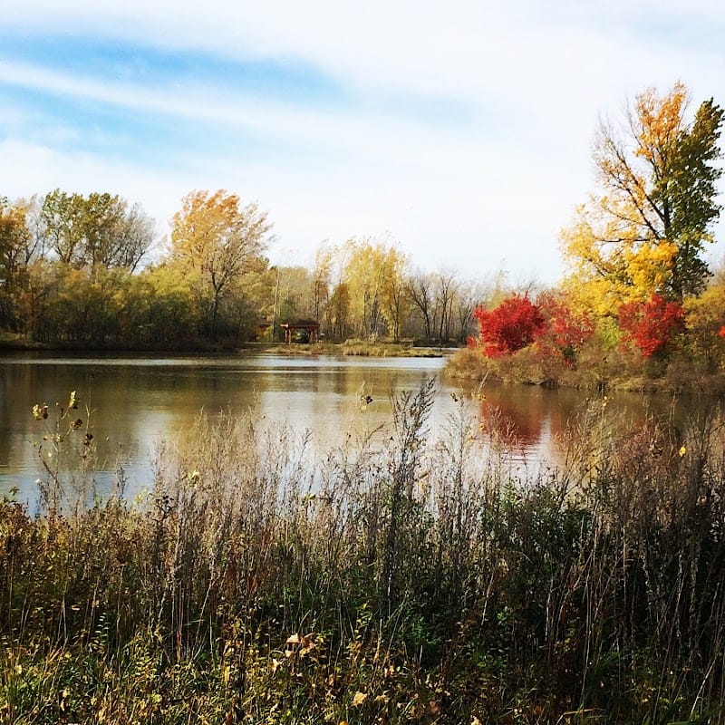 Dakota Nature Park playground photo 3