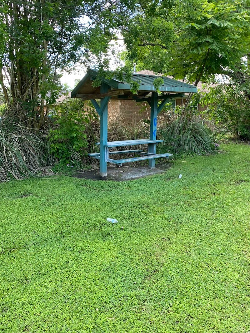 Dale Street Park playground photo 3