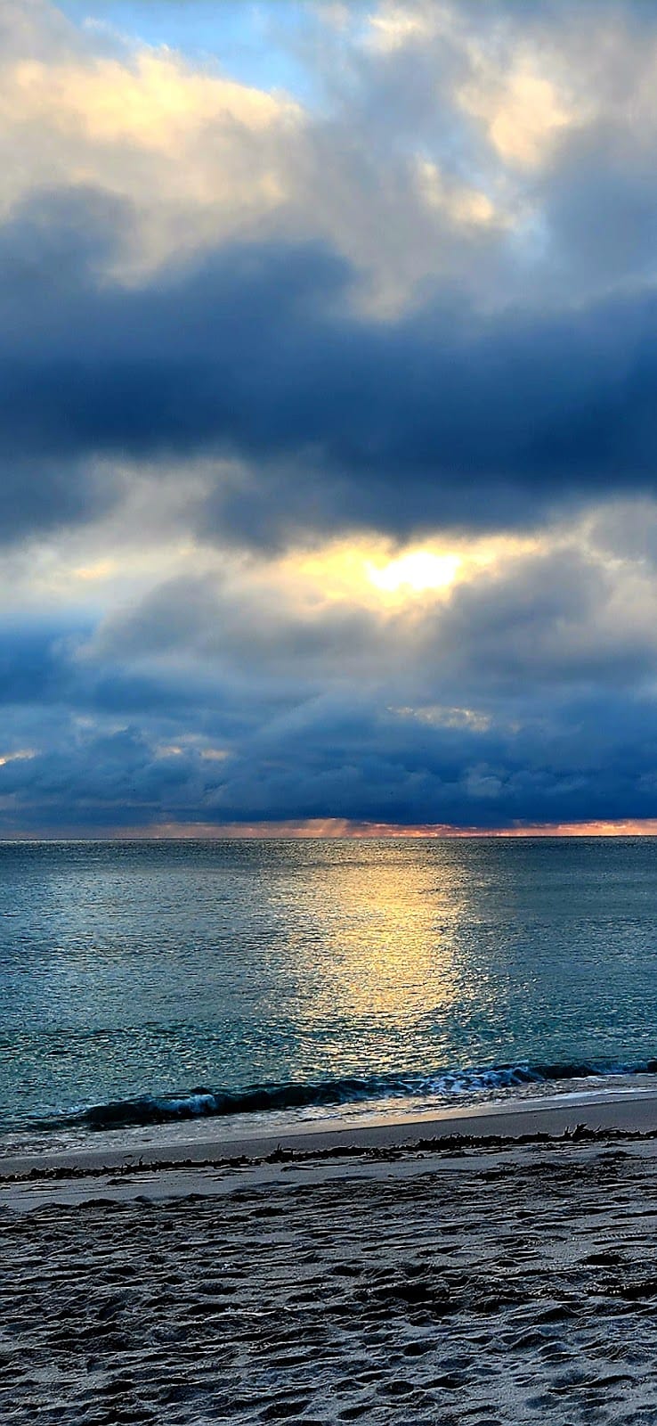 Dania Beach playground photo 1