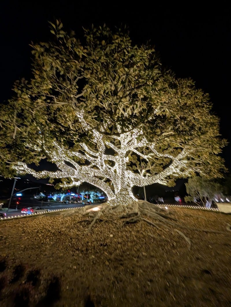 Dawn to Dusk playground photo 1