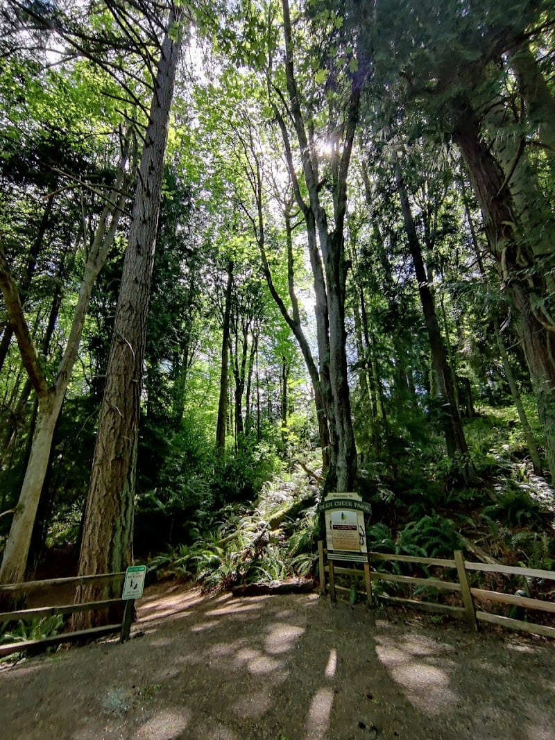 Deer Creek Park playground photo 1