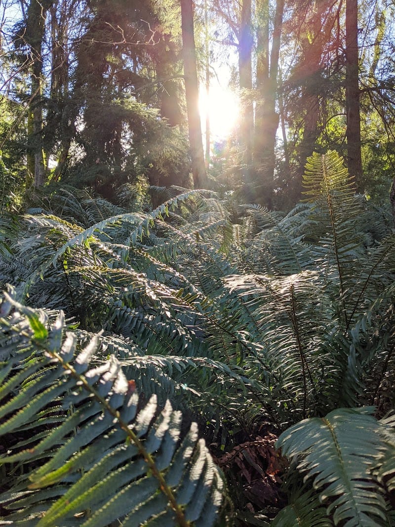 Deer Creek Park playground photo 3