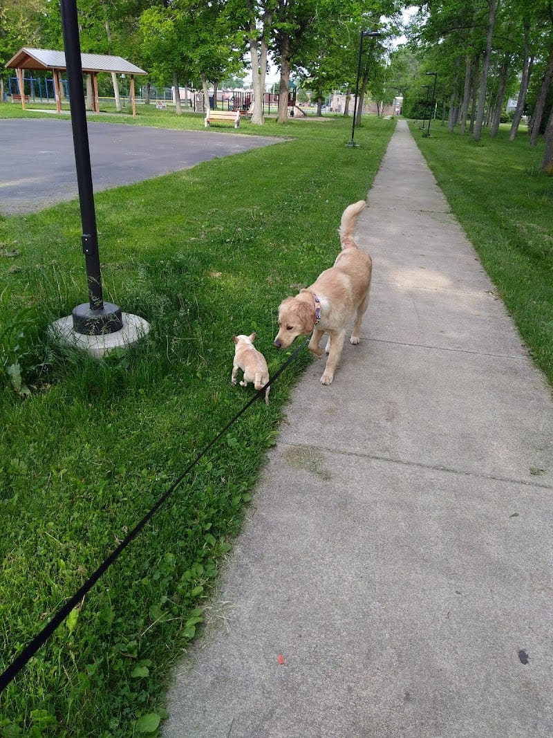 Dellwood Park playground photo 3