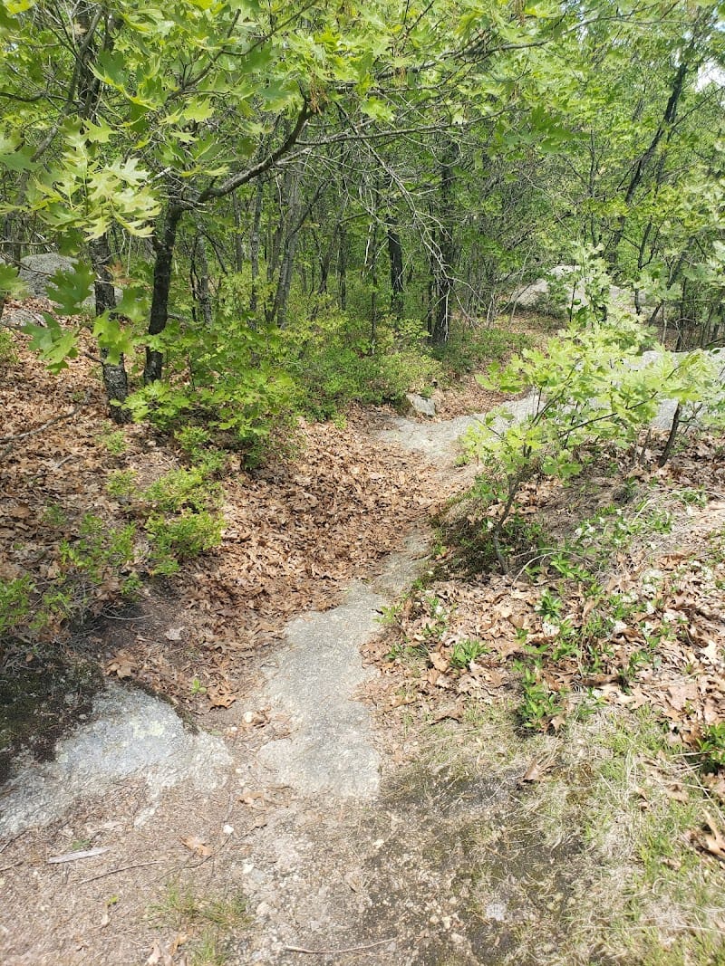 Den Rock Park playground photo 3