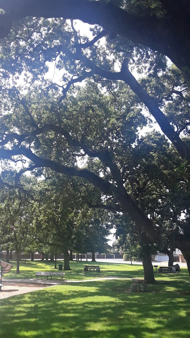 Dentoni Playground playground photo 3