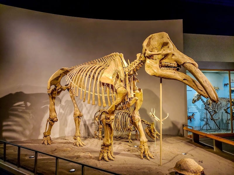 Denver City Park playground photo 2