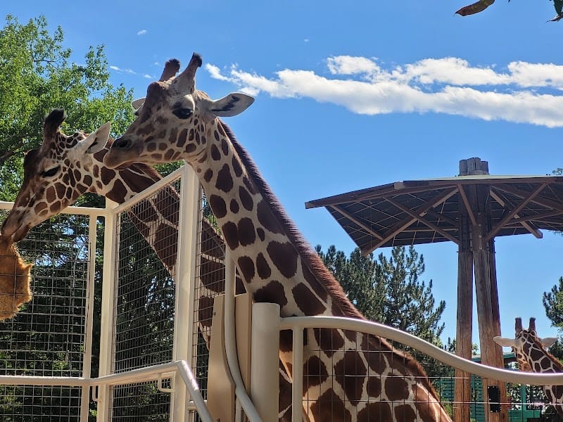 Denver City Park playground photo 3