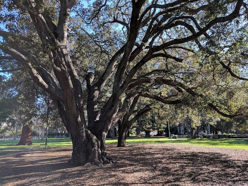 Dimond Tot Lot playground photo 3