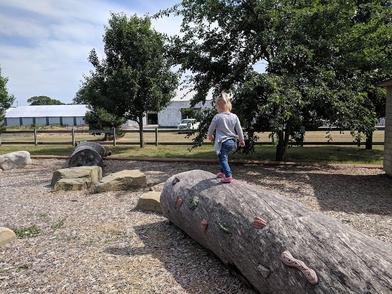 Discovery Preserve playground photo 2