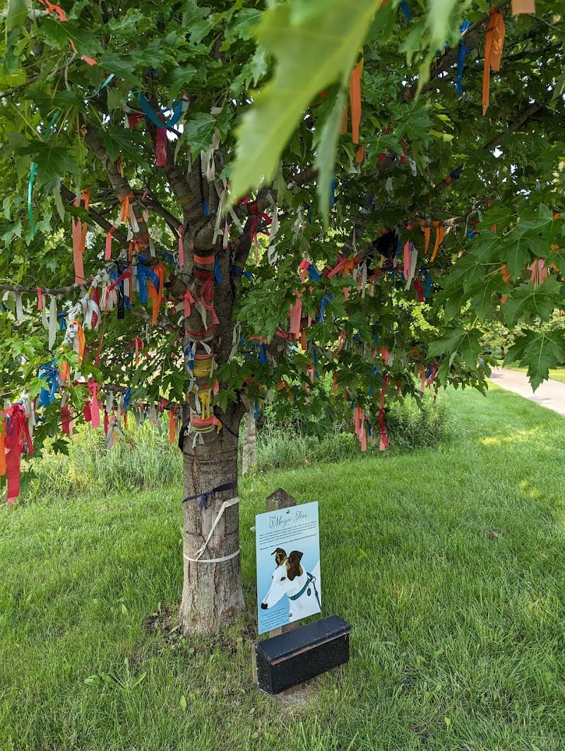 Discovery Preserve playground photo 3