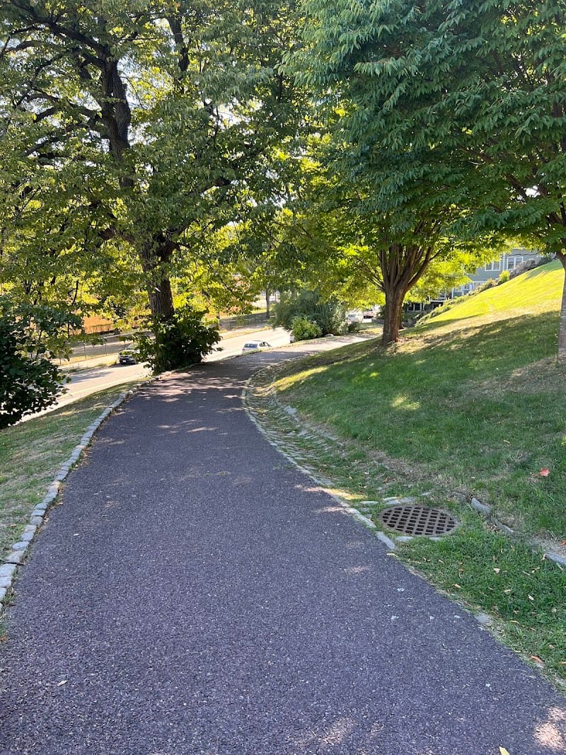 Doherty Playground playground photo 3