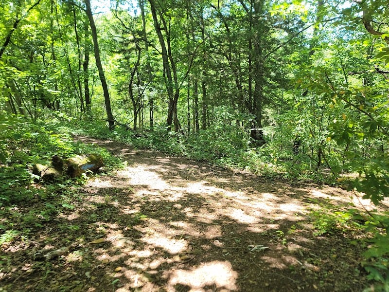 Dornwood Park playground photo 3