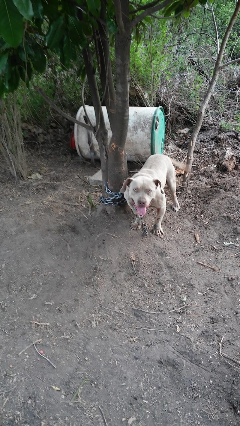 Douglas-Maxey Park playground photo 3