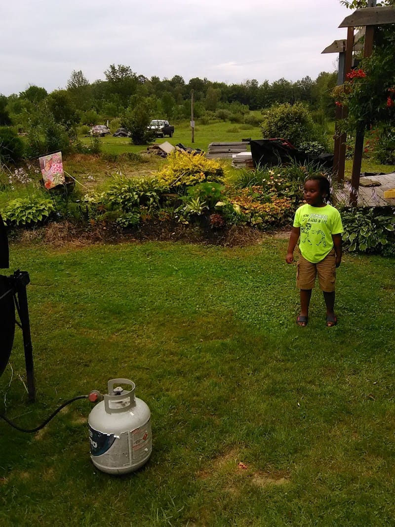 Eddie Dawson Park playground photo 2