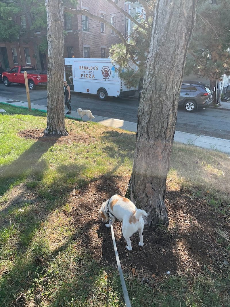 Edwards Playground playground photo 2
