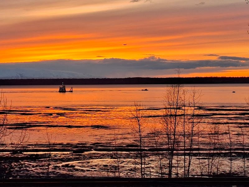 Elderberry Park playground photo 3