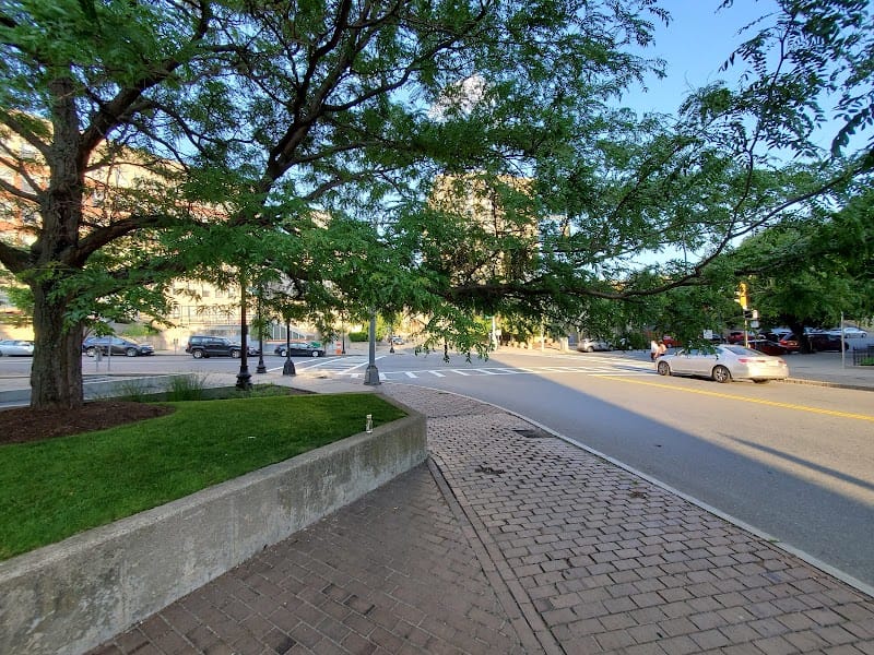 Elliot Norton Park playground photo 2