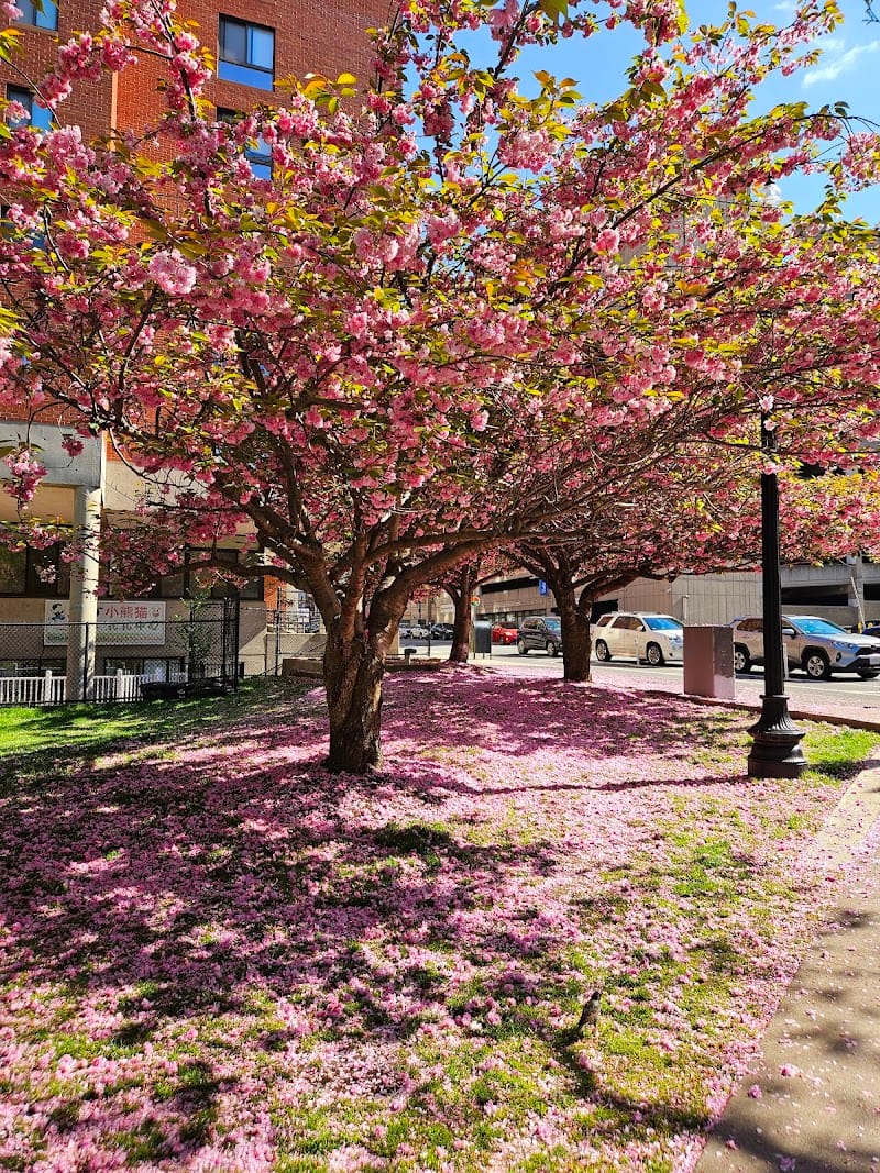 Elliot Norton Park playground photo 3