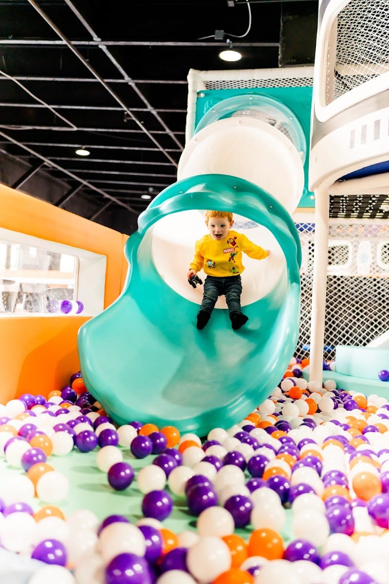 Enchanted Cosmos playground photo 1