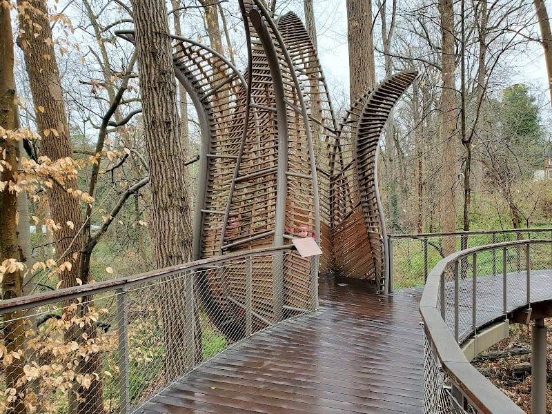 Fernbank Forest playground photo 1