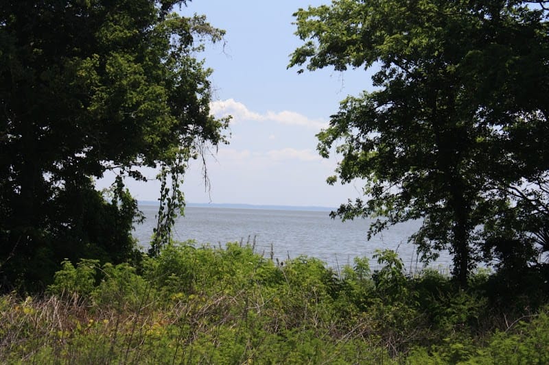 Ferndale Preserve playground photo 1