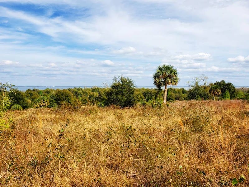 Ferndale Preserve playground photo 2