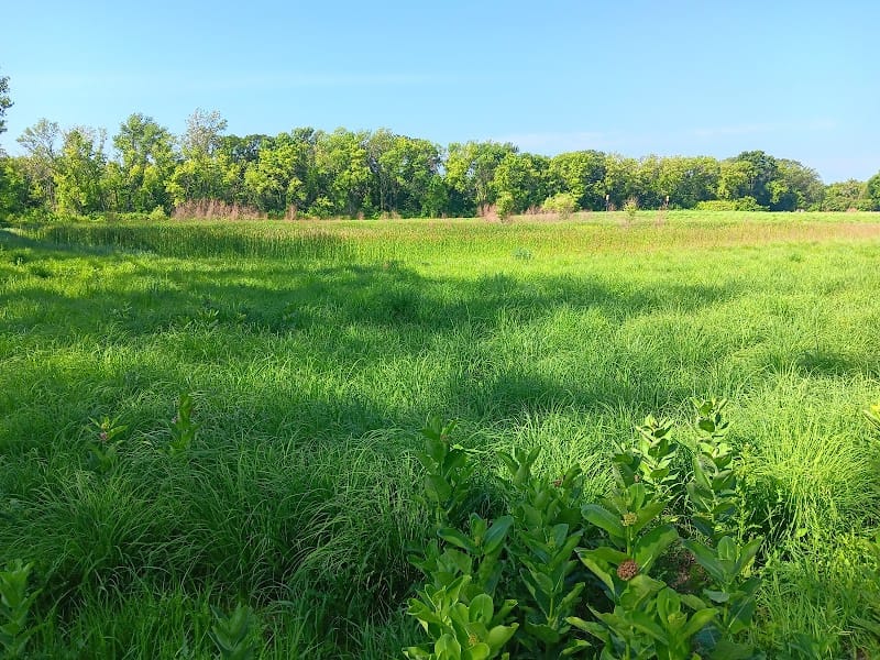 Forest River Park playground photo 2