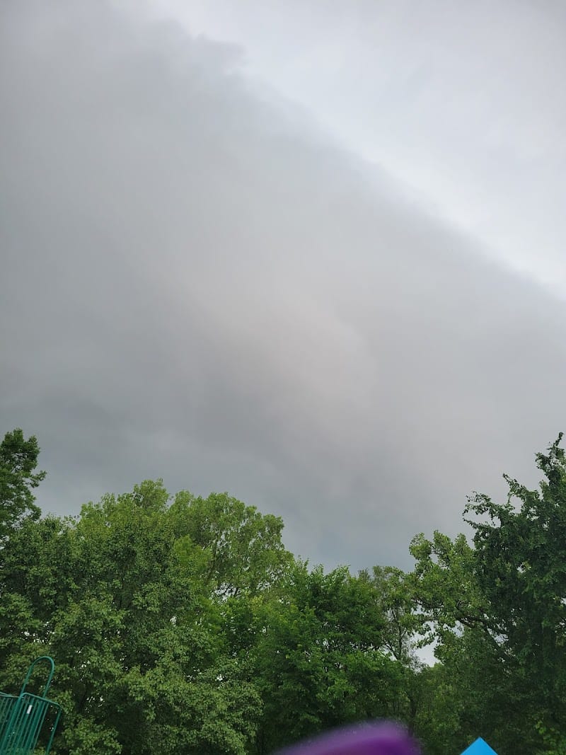 Forestdale Park playground photo 1