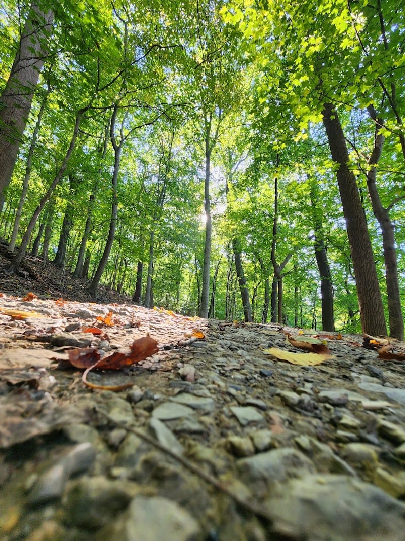 Frick Park playground photo 3