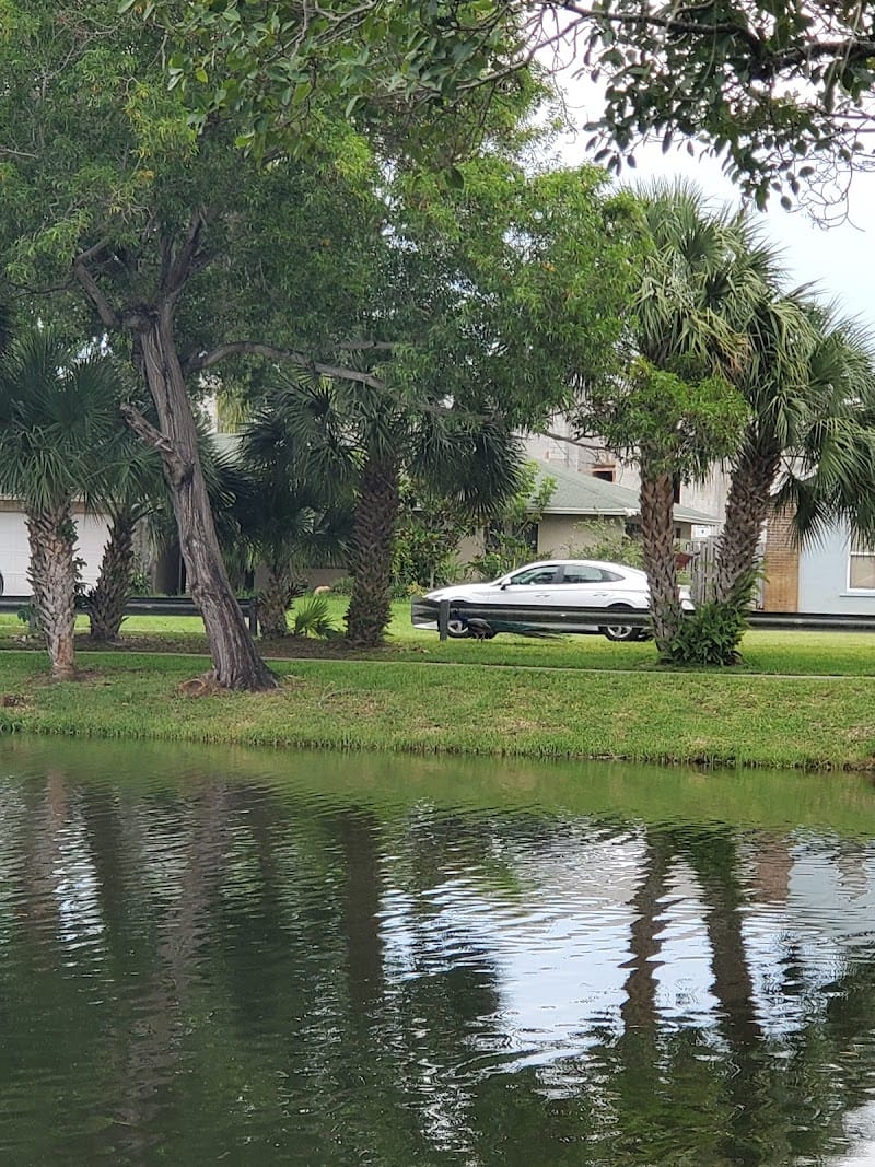 Frost Lake Park playground photo 3