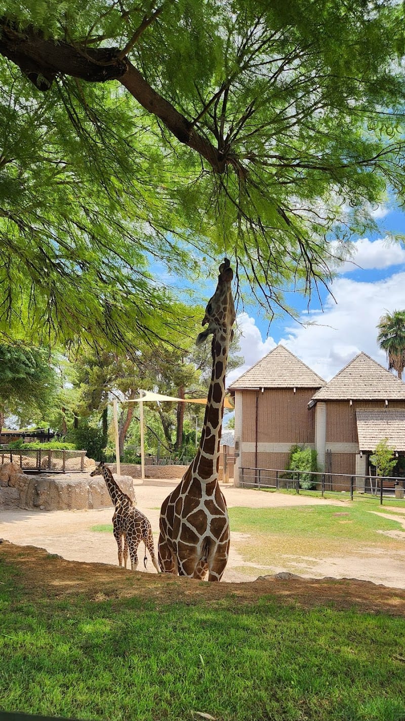 Gene C. Reid Park playground photo 2