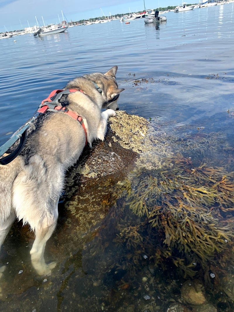 Gerry Playground playground photo 3