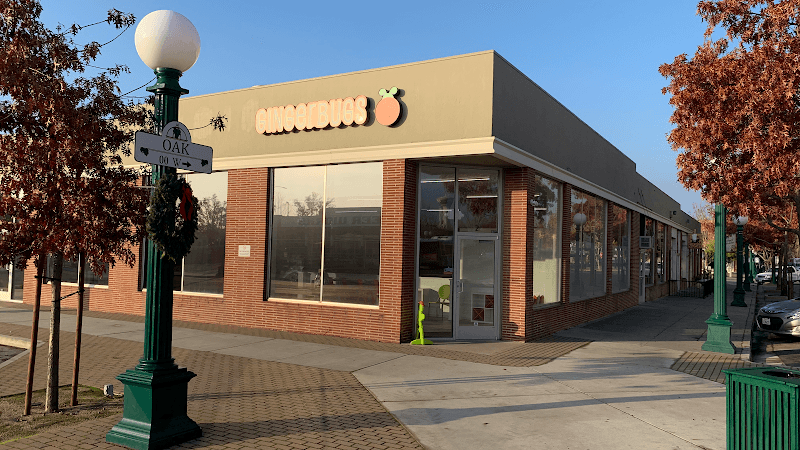 GingerBugs Lodi playground photo 2