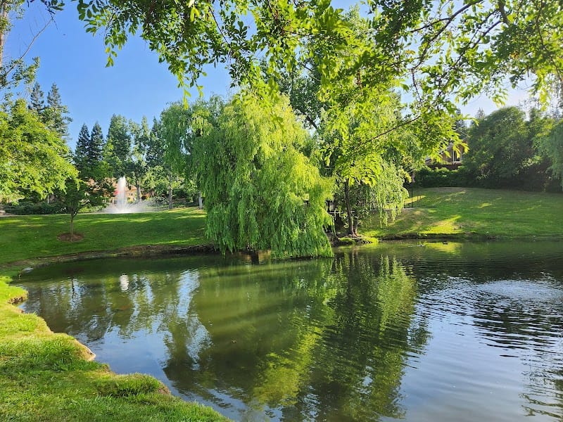 Governors Park playground photo 1